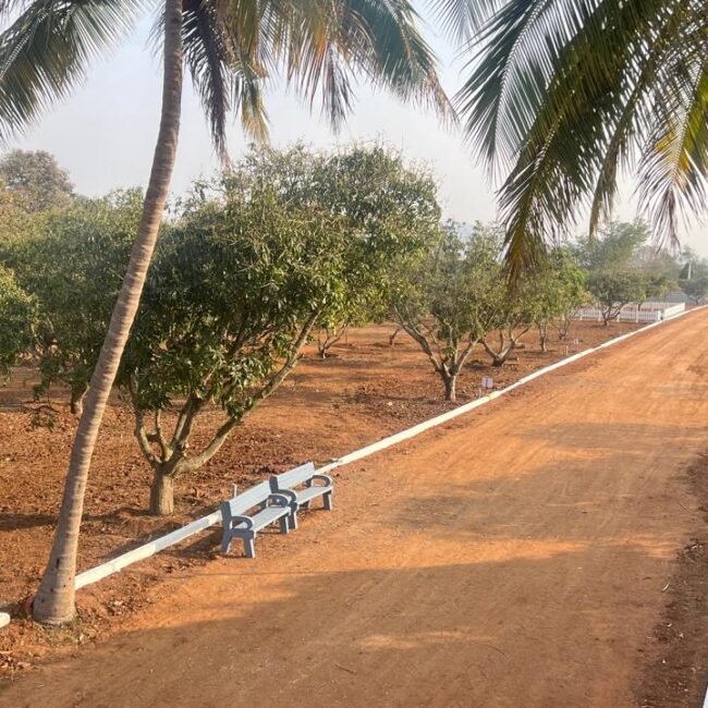 Premium farmland for sale near highway connectivity