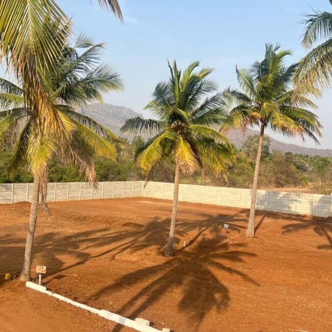 Open farmland for sale with clear boundary fencing