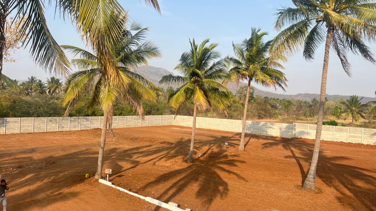 Open farmland for sale with clear boundary fencing