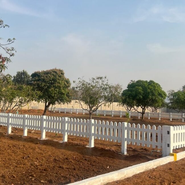 Farmland for sale surrounded by coconut and mango trees